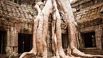 siem reap tour 4 days